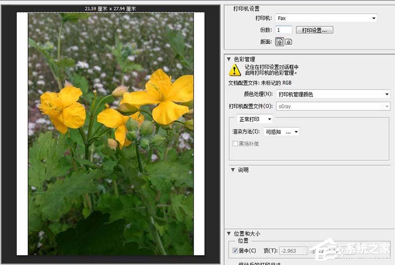 photoshop cs6如何一次打印多张照片？pscs6一次打印多张照片的方法