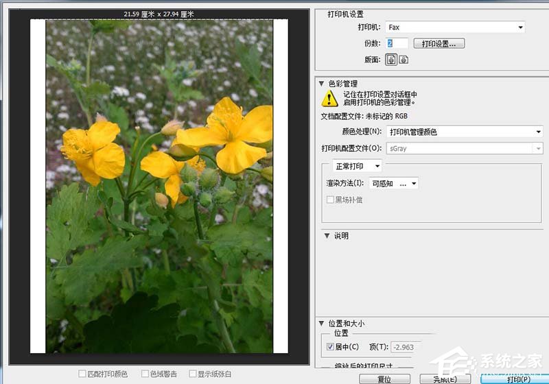 photoshop cs6如何一次打印多张照片？pscs6一次打印多张照片的方法