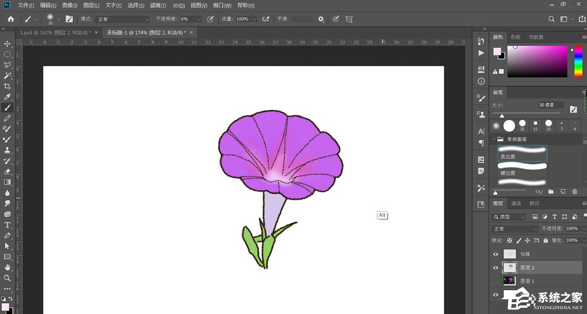 PS如何手绘牵牛花插画？Photoshop绘制牵牛花的方法