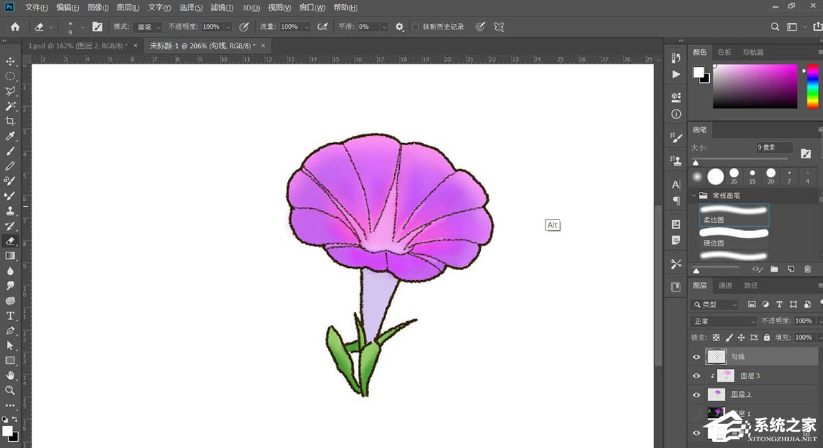 PS如何手绘牵牛花插画？Photoshop绘制牵牛花的方法