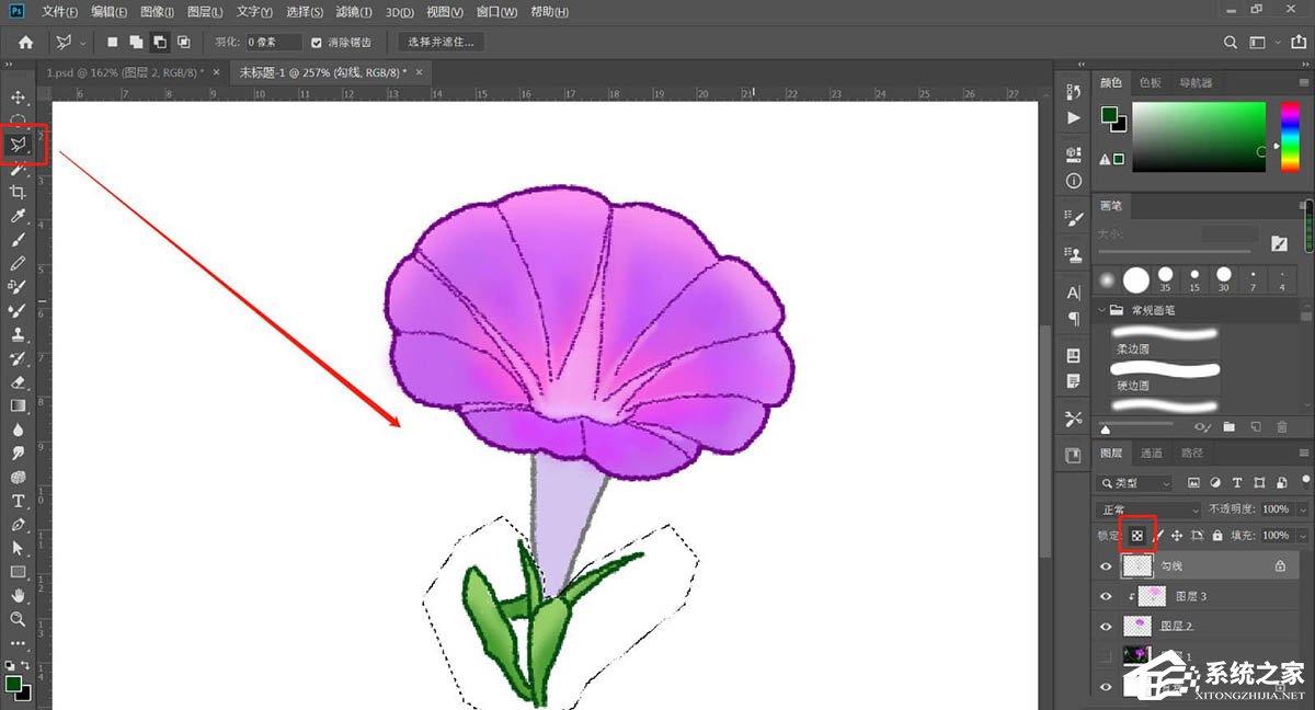 PS如何手绘牵牛花插画？Photoshop绘制牵牛花的方法