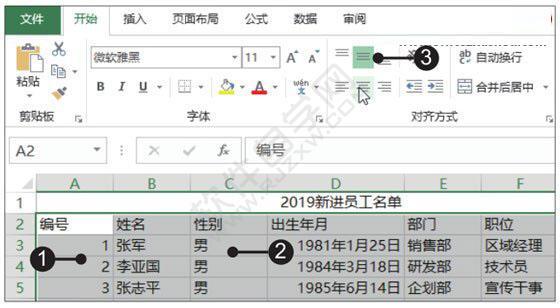 Excel2019制作新员工名单并格式化表格