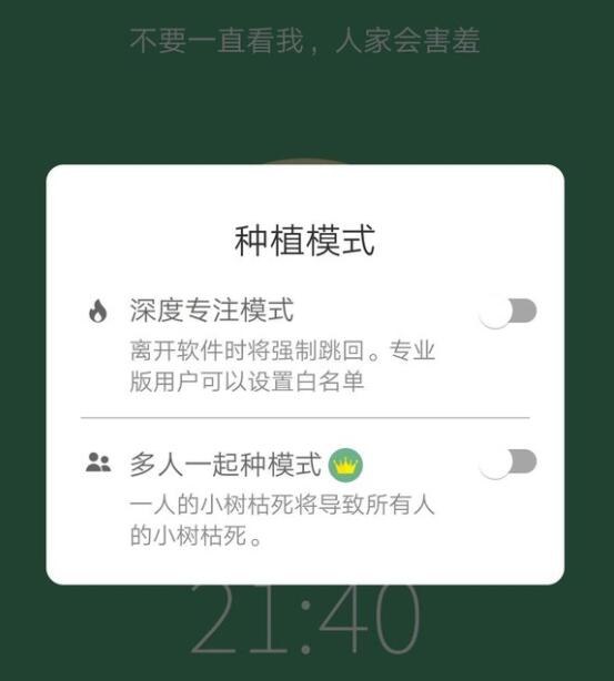 forest怎么开启深度专注模式