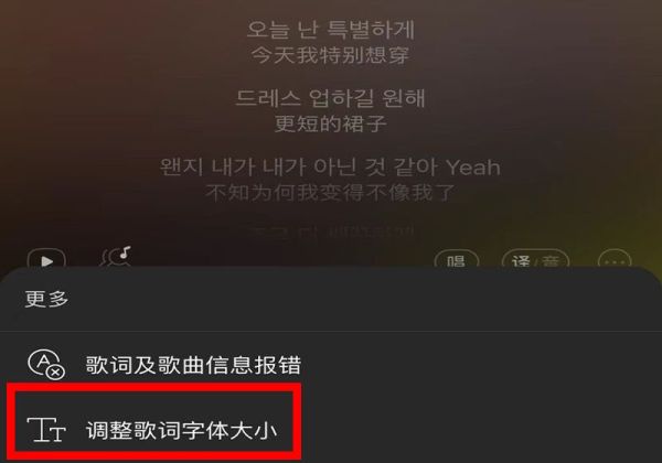 网易云歌词怎么调节大小