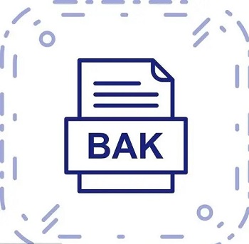 bak文件可以删除详情