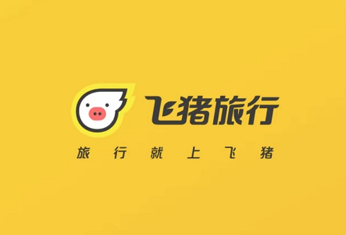 飞猪旅行只能用支付宝支付吗