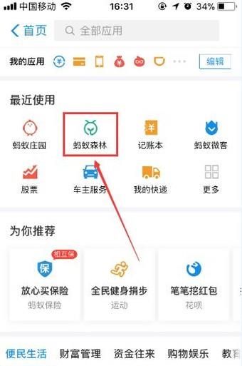 支付宝蚂蚁森林怎么设置收取能量时间